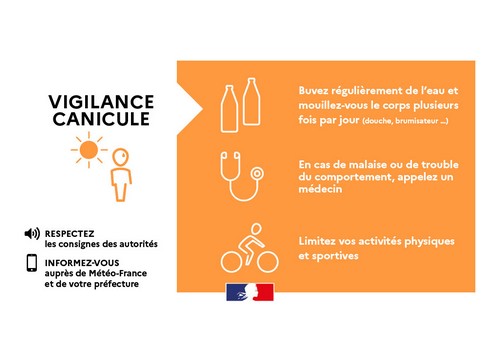 canicule