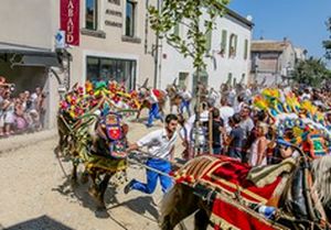 sT ELOI